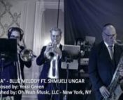 Blue Melody ft. Shmueli Ungar - _Lama_ from shmueli ungar