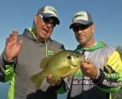 Episode 20nSuper Massive Havasu BluegillsnShow Date: May 14th &amp; 15th, 2016nLocation: Lake Havasu City, Arizona nGuide: The Arizona Fishing Guides [ 480-772-8460 &#124; thearizonafishingguides.com/]nnThis week we get to go on “vacation” with John to Arizona.Our buddy, Pro Bass Angler and guide at The Arizona Fishing Guides, Ron Johnson has us on a truly unique bite.We’re heading out of his home territory of Phoenix to Lake Havasu City on the Arizona California border.Lake Havasu is a w