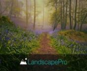 www.landscapepro.picsnnLandscapePro is new photo editing software specially designed for your landscape pictures. With intelligent controls that adapt to the features in your photo, LandscapePro allows you to get dramatic results with your landscapes.nn- Intelligent selection tools.n- Unique editing controls that adapt to your photo.n- Easy-to-use slider interface.n- No technical skill required.nnGet the free trial at www.landscapepro.pics/download or buy it now at www.landscapepro.pics/buy/