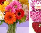 Give the best gift to all your special persons in their best day with a bunch of flower in Pune by Winni. Order online flowers in Pune by Winni and make your event graceful.nhttps://www.winni.in/pune/flowers-and-bouquets/c/12