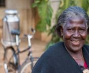 Watch how a resilient widow and farmer, Georgina, creates a good life for herself by fighting poverty with her Buffalo Bicycle. In Palabana, Zambia a simple bicycle changes everything. nnDonate now to help more people like Georgina: http://ow.ly/TXT5Innvideo: Pedal Born Picturesnmusic: Ken Urbina nnAll rights reserved: World Bicycle Relief 2015