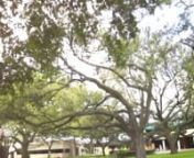 Lamar University: A Texas State of Mind from lamar university texas