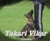 Yakari Vikar - 3 months from yakari