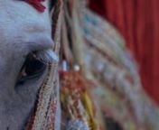 Richa and Mrunal | South Asian Wedding Same Day Edit from richa