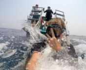 Diving Roatan with George Paul from veteran photo