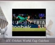ICC Cricket World Cup All Statistics Catches. All the teams that will be playing in the ICC Cricket World Cup.Best catches of the all world cup.nnhttp://www.cricketworldcuplive2015.org/