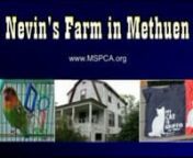 Nevin&#39;s Farm features an incredible collection of pets ranging from ferrets to horses, ponies and pigs.And YES!They do have a wonderful collection of cats and dogs looking for great homes!