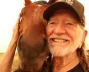 Willie Nelson is known the world over for his music but what you might not know is Willie Nelson has a love and passion for horses.Willie grew up watching the old cowboys like Roy Rogers and Gene Autry and that what he wanted to be