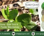 Visit at - http://www.agrogums.com/cassia-tora-gum-powder.htmlCassia gum powder is also classified as Cassia Powder, Cassia Tora Powder, Cassia Tora Splits Powder and Cassia Gum Split Powder. Each of them is used for various different purposes like in place of Carob or Locust Bean Gum and Guar Gum Splits and in conjunction with Carrageenan Cassia Splits powder is used. An Important application of Cassia splits Powder is in preparing air fresheners in the form of gels. While Cassia Tora Seeds a