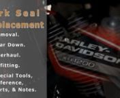 This is a very detailed “how to” video on replacing the fork seals on a 2009 Harley-Davidson XR1200 (that may also apply to variants of the V-Rod family with USD forks) which was done for the benefit of an on-line owners group (XR1200ownersgroup.com). nnI haven’t done an instructional video before, and always felt I could do better than the typical talking head versions. (Indeed, there is no narrative at all in it!) So when the fork seals went out on my XR1200 I thought I&#39;d combine the pro