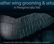 Hi Guys,nI spend some hours creating a new series of videos on creating a feathery wing using Peregrine Labs Yeti. This video is a slap comp if you will, with cut outs from some of the different videos.nnMore info on the tutorials here: http://blaabjergb.com/feather-tutorial/nGeneral Yeti tutorials are as always available here: http://blaabjergb.com/yeti-tutorials/nnTutorial series on creating a feathery wing with Peregrine Labs Yeti,nThe series includes installing Yeti and Solid Angle Arnold as