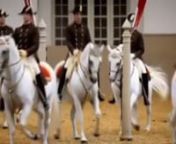 Subject Vs. Content for Legendary Stallions 2nnSubject:nnIn this video you will first see white Lipizzaner stallions dressed in their best being walked by various handlers towards a stadium. Once a man in a yellow garment standing behind them raises his hand and points in the air the video then fades into the horses dancing through the arena to a techno song called Bounce Back. The horses first dance together and then the video flashes to an eccentric USA crowd cheering them on. The video then t