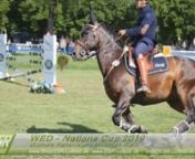 WZ-Turnier-WED-Nations Cup 2019 from wz
