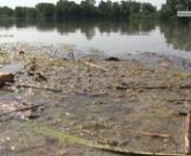 Der bei Schwimmern beliebte Baggersee Wacholderrain in Altenheim ist seit Donnerstag fürs Baden gesperrt. Grund sind gefährliche Kolibakterien, die im Wasser gefunden wurden.
