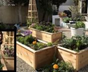 Carrie Bettencourt shares how she was able to turn the backyard of her new home into a thriving garden with Gardener&#39;s CedarLast Line. nnCedarLast Raised Bed (2&#39;x3&#39;): https://www.gardeners.com/buy/cedarlast-raised-bed-2x3/8596743.htmlnCedarLast Raised Bed (2&#39;x6&#39;): https://www.gardeners.com/buy/cedarlast-raised-bed-2x6/8596945.htmlnCedarLast Obelisk: https://www.gardeners.com/buy/cedarlast-obelisk-7-foot/8596486.htmlnnStack-n-Grow Light System: https://www.gardeners.com/buy/stack-n-grow-light-sys