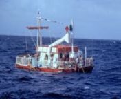 Sommaren 1973 reste sex kvinnor och fem män med en flotte över Atlanten i ett av världshistoriens märkligaste vetenskapsexperiment. Syftet var att studera våld och konflikter men expeditionen blev snabbt omskriven i världspressen som