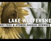 Lake Wölfersheim in warm and humid August - Sony FS5II &#124; Atomos Shogun Infernonn✅My Amazon-Shop: https://www.amazon.de/shop/emben✅MotionVFX FCPX add-ons: https://bit.ly/2WhMLf2n✅Sony FS5II: https://amzn.to/2Y1iFjVn✅Sony 18-105 mm f4 SEL-P18105G Powerzoom: https://amzn.to/3iYFMDVn✅Atomos Shogun Infermo: https://amzn.to/3kT1tqmnnYesterday Afternoon I visited nearby Lake Wölfersheim / Wölfersheimer See and took the Sony FS5II with standard zoom lens 16-105 SEL-P18105Gand th