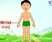 ASSIGNMENT : 1. Draw parts of the body and label it in hindi.n2. From Hindi reader : Chapter-10 ( page.88 Qn.क,ख,ग )nLast date of submission: 5/9/2020nWhatsapp no. : 8794612462