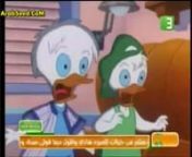 مسلسل الكرتون الكوميدي شلة بط مدبلج مصري -الحلقة 9 from مسلسل مدبلج
