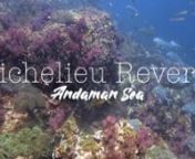 [Richelieu Reverie - Richelieu Rock, Andaman Sea, Surin Islands National Marine Park, Thailand]nnRichelieu Rock (called Hin Plo Naam in Thai, literally