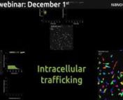 Nanolive is delighted to announce our next upcoming webinar on December 1st with the topic “Label-free analysis of living cell populations reveals controlled phenotypic variation among single cells“. Please register here.nnIn this webinar, Dr. Emma Gibbin, Communications Specialist at Nanolive, combines label-free live cell imaging with high-precision segmentation and analysis to quantify how the proportion of single cell phenotypes change in a population over time, in unperturbed and pertur