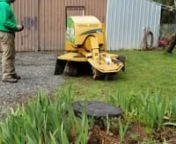 Nampa stump grinding and root chasing. We grind stumps in Boise, Caldwell, Meridian, Eagle, Star, Nampa and beyond. Premeire equipment. Family-owned. 25 yrs experience https://stumpremovalnw.com/stump-removal-boise-idaho/