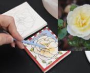A 1 hour 45 minute instructional workshop on painting roses with underglazes.Ann teaches you three specifically chosen views and colors of roses.Each rose will require a unique painting technique to bring it to life.nAnn will guide you through each technique, step by step, with an easy to follow process providing templates to simplify the drawing, and recommending brushes and underglazes that will improve your overall painting.Ann shows you how to build a color pallette and shares techni
