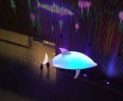 東京国際フォーラムのシンボルである舟形のガラス棟を巨大な水槽に見立てた「光のアクアリウム」が12月19日(火)〜26日(火)期間限定で開催されました。nピクスが展示全体の総合プロデュースを手掛けました。n大吹き抜けを約6mのイルカが優雅に遊泳する幻想的な空間となっています。nn■STAFFnCreative Director/Technical Director : Tateha Sakamoto (P.I.C.S. TECH)nTechnical Assistant/Engineering : R
