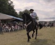 Hermosos equinos danzan al son de la tambora en la exhibición de caballos bailadores de la Expo Ganadera de Ahuacatlán. nSon montados, entre otros, por el presidente Agustín Godínez y Juan Parra