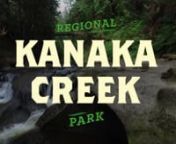 Coastal rainforest, waterfalls and sandstone cliffs are a big draw in this regional park in Maple Ridge. Watching salmon is a popular activity – whether at the fish-fence or the hatchery. Kanaka Creek provides habitat for a variety of wildlife, and trails for a variety of experiences.