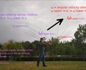 This Video is about the varying angular velocities of the mass elements on the fly rod shaft. It shows how a fly rod representing a flexible, non rigid object / body behaves as it is rotated. See also http://vimeo.com/187846392n-nEarlier phase of rotation: the angular velocities ω of the upper mass elements are slower (!) than the lower ones. Later phase of rotation: the angular velocities ω of the upper mass elements are faster (!) than the lower ones. The fastest angular velocity shifts from