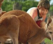 I directed this fun spot for the Minnesota Zoo in the summer of 2017. The purpose of the spot is to announce the opening of the Zoo&#39;s new Kangaroo Crossing interactive exhibit. The idea was that a crew of real kids was grabbing that last taste of summer at the zoo.nnClients: MN ZoonAgency: AdventurenDirector: Jeremy Ryan CarrnProducer: Mike MennenLine Producer: Conor CallahannDP: Micah Kvidtn1st AC: Keith Moechnign2nd Unit DP: Martin WheelernGaffer: Tom FranchettenWardrobe/Stylist: Julie Caruson