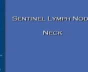 Dr Stephan Ariyan - SENTINEL LYMPH NODE- NECK- 6min- 2008 from ariyan