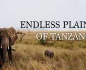 Endless Plains of Tanzania from chasing song