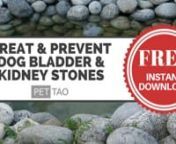 Free Instant Download: https://pettao.com/dog-bladder-stones/nFree Online Guide - The Pet Owner&#39;s Guide to Dog Bladder and Kidney Stones: https://pettao.com/pet-owners-guide-dog-kidney-stones/nVisit PET &#124; TAO&#39;s website: http://www.pettao.comnVisit Dr. Smith&#39;s Website: http://www.franklintnvet.comnnPET &#124; TAO Holistic Pet Products co-founder and practicing veterinarian Marc Smith, DVM: nnLet&#39;s say, Spot tinkles over here, and then tinkles over there, and then tinkles over there. The last time he t