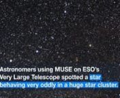 Astronomers using ESO’s MUSE instrument on the Very Large Telescope in Chile have discovered a star in the cluster NGC 3201 that is behaving very strangely. It appears to be orbiting an invisible black hole with about four times the mass of the Sun — the first such inactive stellar-mass black hole found in a globular cluster.nnThis important discovery impacts on our understanding of the formation of these star clusters, black holes, and the origins of gravitational wave events.nnThis short E