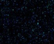 Animation zoom-in of the composite image of ADFS galaxy pair. The initial image is from ESA&#39;s Herschel Space Observatory. The object was then detected by ESO&#39;s Atacama Pathfinder EXperiment (APEX) telescope. ALMA (final zoom) was able to identify two galaxies: ADFS-27N (for North) and ADFS-27S (for South). The starbursting galaxies are about 12.8 billion light-years from Earth and destined to merge into a single, massive galaxy.nnCredit: ESA/Herschel; ESO/APEX; ALMA (ESO/NAOJ/NRAO); D. Riechers