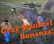 BYUUUUP! Its time of year again, yup gray squirrel season! Yeeeee Haaaaa! PEW! PEW! PEW!nIn this video I dispatch 16 or so over a few day period. All kills were made on my private property and all squirrels were cleaned, butchered and vacuum packed for winter consumption.nn I have altered the video format a bit to allow more video action and less yappin.Give me your thoughts on the changes. I will be trying to make 2 videos a month until hunting season ends so stick around and keep an eye out.