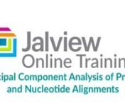 Jalview is a free-to-use sequence alignment and analysis visualisation software linking genomic variants in DNA, protein alignments and 3D structure (http://www.jalview.org/). In this tutorial, we learn how to run principal components analysis in Jalview.nnPrincipal Components Analysis is an alternative to cluster analysis as a way to visualise groups of similar sequences. Similar sequences lie close to each other in 3D space. By default, the protein principal components analysis uses BLOSUM 62
