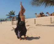 Beatriz Millions - Arab Dance (belly dance) ياتريس الملايين - الرقص العربي (الرقص الشرقي from الرقص الشرقي