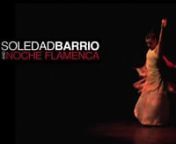 Hailed by critics for their transcendent and deeply emotional performances, Spain’s Noche Flamenca is recognized as the most authentic flamenco company in the field today. Artistic Director Martin Santangelo and his wife, Soledad Barrio, bring to the stage the essence of one of the world’s most complex and mysterious art forms.