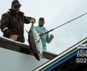 S02 E03 Tuna Town Full Episode - The guys are in Ali’s backyard fishing for one of San Diego’s bread and butter species. This is tuna town and if you’re a fisherman in Southern California these are your summer games. Armed with scoops of the finest bait in town, Ali and Rush set out to score a bag of yellow fin tuna. nnTHE SHOW:nLocal Knowledge focuses on the differing and often humorous viewpoints of two drastically different fishermen from opposite sides of the country. Ali Hussainy of S