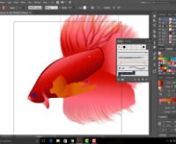 Adobe Illustrator strokes