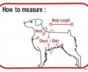 How to properly measure your dog to determine which sizes would be a good fit. Video by Hefty HoundsnPlease be sure you measure your dogs before purchasing products. Our sizes typically run larger since we cater to larger breed dogs.