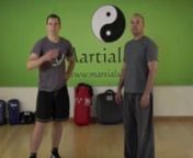 Waist chopping (yin jarm/yao zhong) technique and chain style as passed down to our teacher by Sifu Brendai Lai. Description of covered material. Part of the Seven Star Praying Mantis Instructional Series from MartialSkill.com.