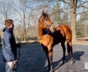 TDN Rising Star, Breeders&#39; Cup Juvenile and 2YO Champion Corniche will stand his first season at Ashford Stud this year. We talk to Ashford&#39;s Adrian Wallace and his trainer Bob Baffert about their high expectations for the versatile young sire.