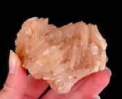 Available on Mineralauctions.com, closing on 6/16/2022.nnDon’t miss weekly fine mineral, crystal, and gem auctions on mineralauctions.com. Dozens of pieces go live each week, with bids starting at just &#36;10!nnMineralauctions.com is brought to you by The Arkenstone, iRocks.com