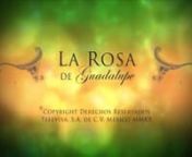 La Rosa de GuadalupeEl DerrumbeFull HD Completo.mp4 from la rosa de guadalupe