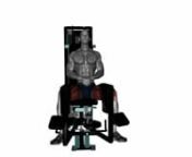 seated-machine-hip-adductor-fitness-exercise-worko-2023-04-07-00-33-54-utc from worko