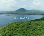 Based in the bustling beach state of Goa, Netravali Wildlife Sanctuary is one of the six essential wildlife sanctuaries in the state. Netravali Wildlife Sanctuary is located in the Sanguem Taluka region of the South-Eastern part of Goa.nCovering an area of about 211 sq km, it holds one of the essential aisles of the Western Ghats. Being one of the most significant wildlife sanctuaries in India, Netravali is home to a diverse family of flora and fauna of the world.nSecure from persecution or harm